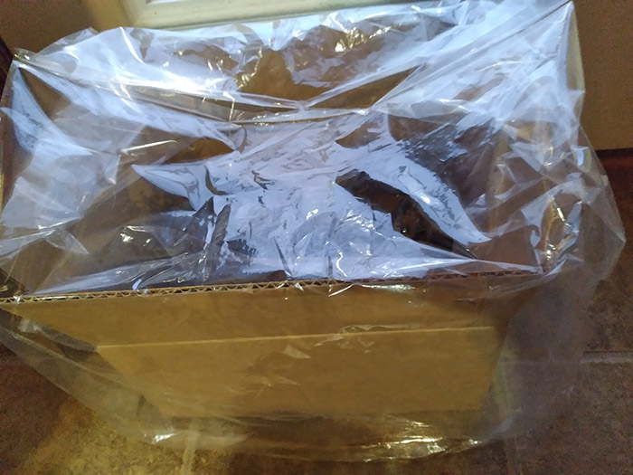 grow-mushrooms-indoors-shade-cover
